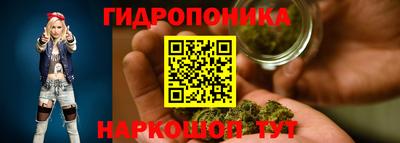 jwh Краснознаменск
