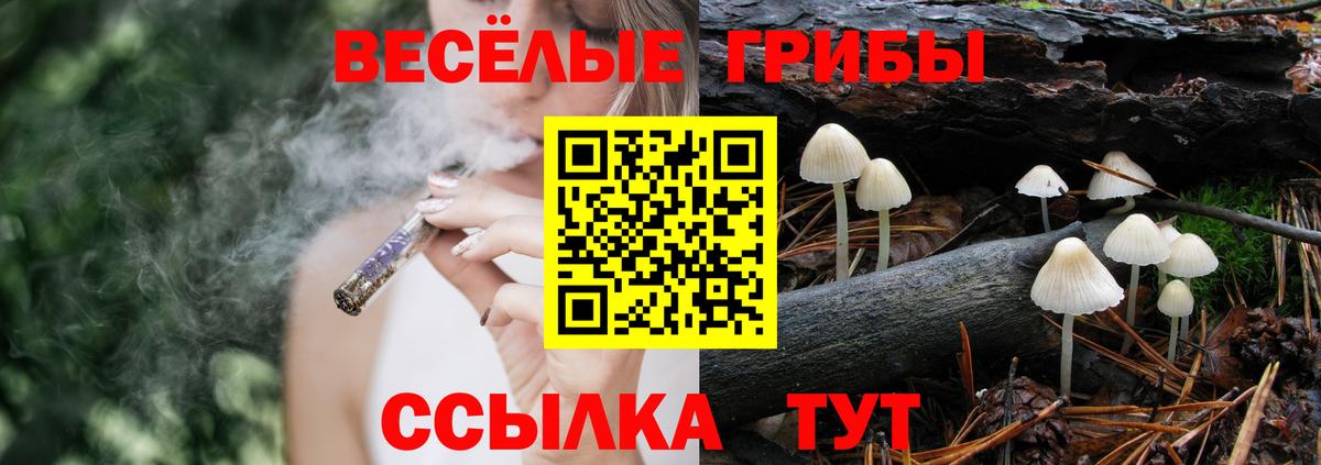 Заводоуковск  Галлюциногенные грибы MAGIC MUSHROOMS  Вход с VPN  Галлюциногенные грибы мухоморы 
